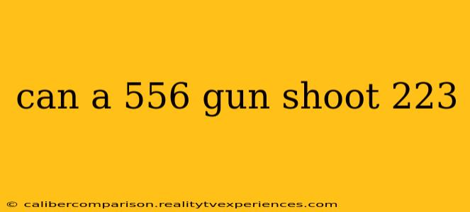 can a 556 gun shoot 223