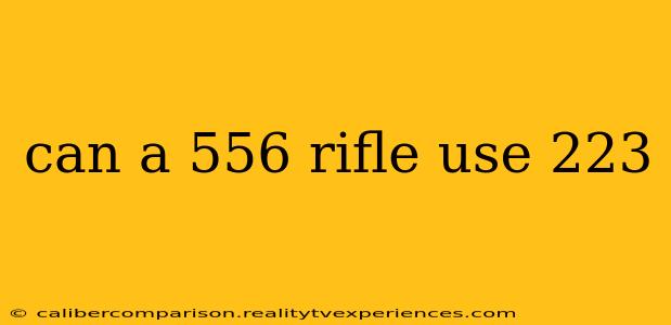 can a 556 rifle use 223