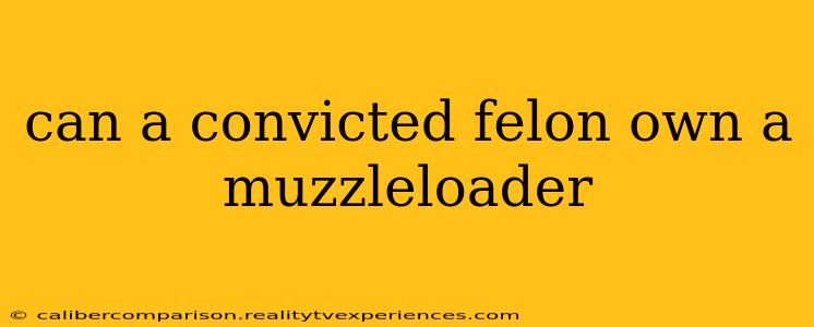 can a convicted felon own a muzzleloader