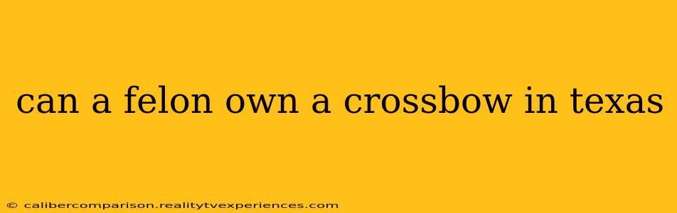 can a felon own a crossbow in texas