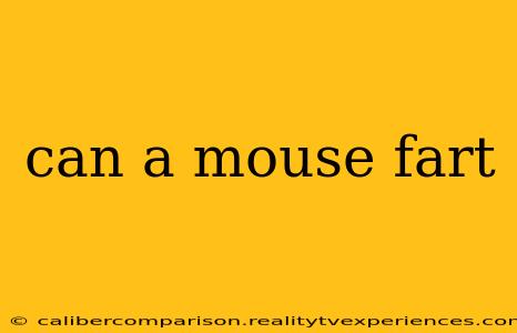 can a mouse fart