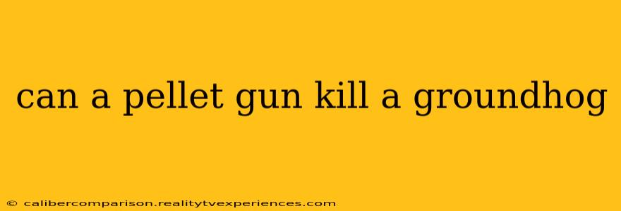 can a pellet gun kill a groundhog