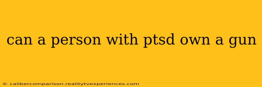 can a person with ptsd own a gun