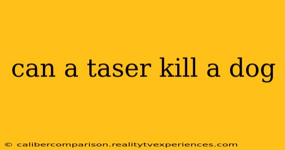 can a taser kill a dog