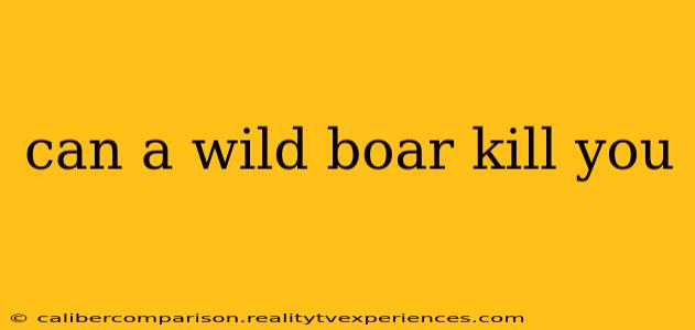 can a wild boar kill you