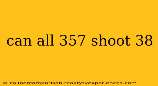 can all 357 shoot 38