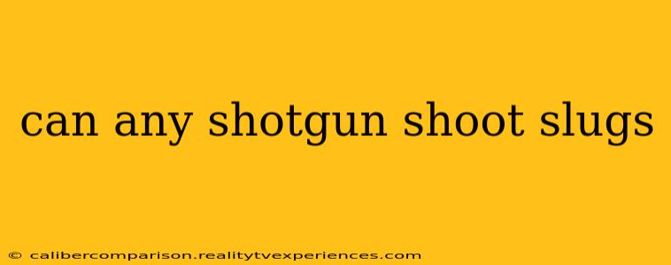 can any shotgun shoot slugs