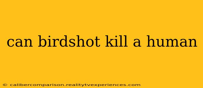 can birdshot kill a human