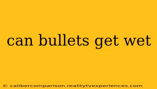 can bullets get wet