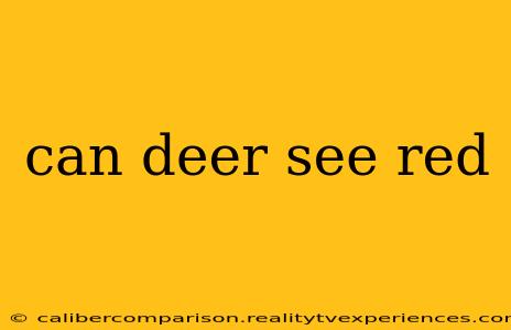 can deer see red