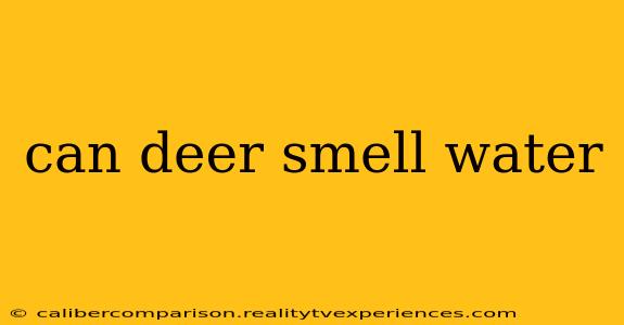 can deer smell water