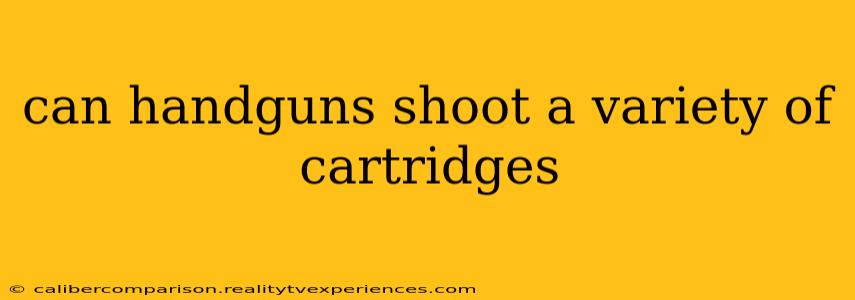 can handguns shoot a variety of cartridges