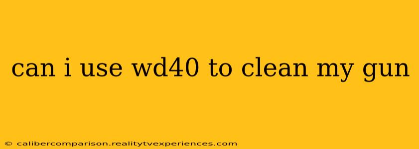 can i use wd40 to clean my gun