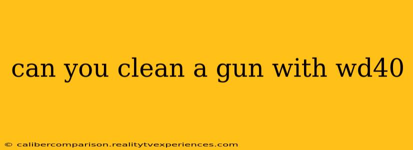 can you clean a gun with wd40