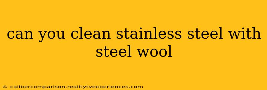 can you clean stainless steel with steel wool