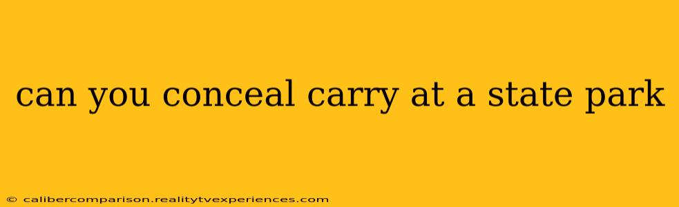 can you conceal carry at a state park