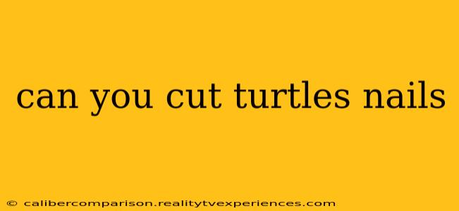 can you cut turtles nails