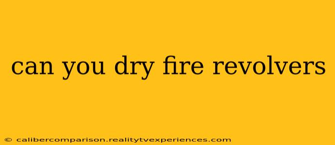 can you dry fire revolvers