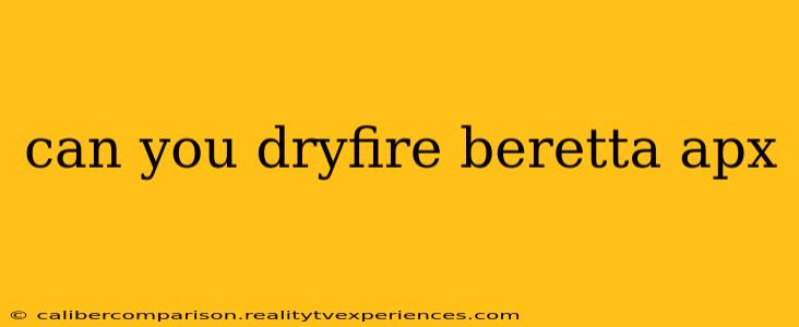 can you dryfire beretta apx