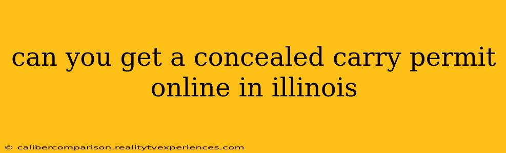 can you get a concealed carry permit online in illinois