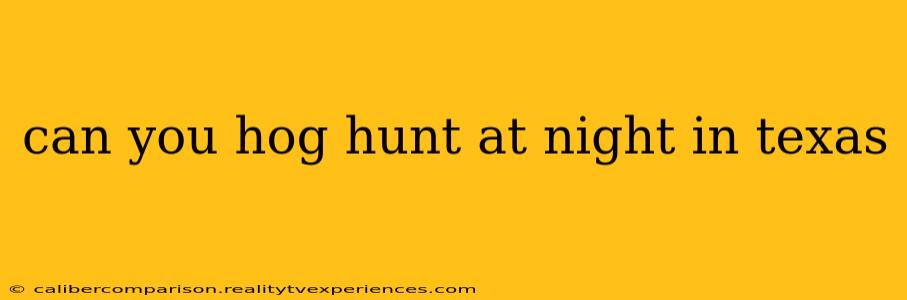 can you hog hunt at night in texas