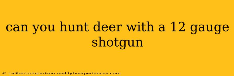 can you hunt deer with a 12 gauge shotgun