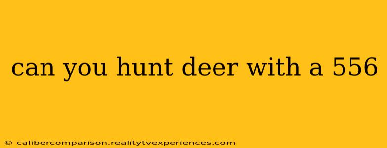 can you hunt deer with a 556