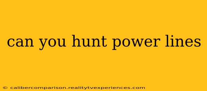 can you hunt power lines