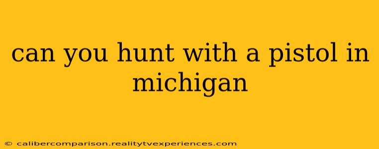 can you hunt with a pistol in michigan