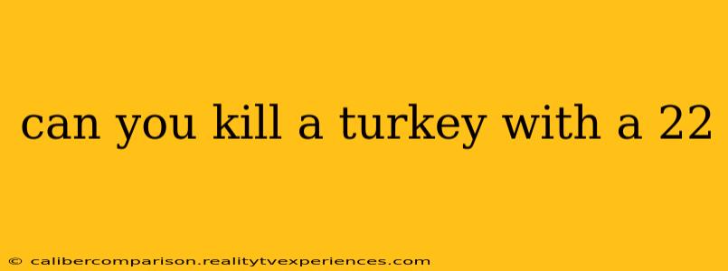 can you kill a turkey with a 22