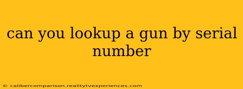 can you lookup a gun by serial number