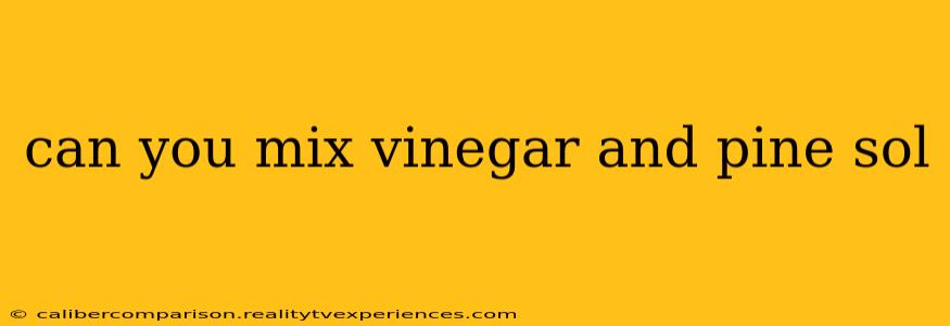 can you mix vinegar and pine sol