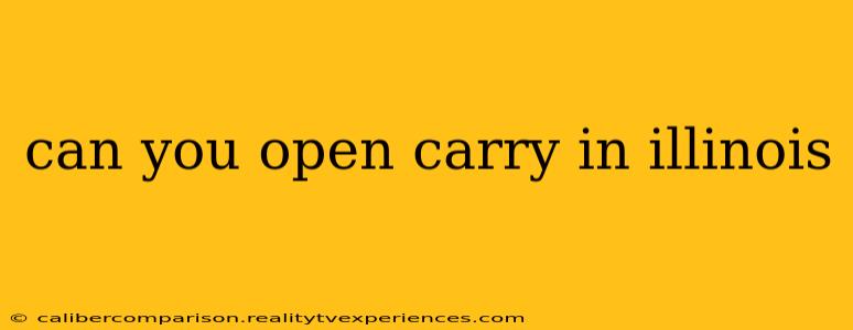 can you open carry in illinois