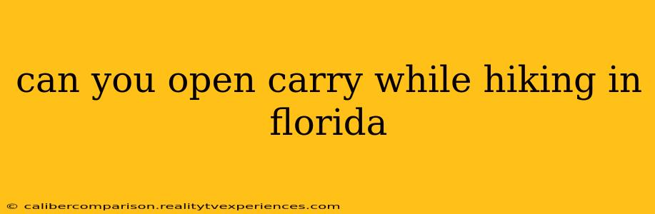 can you open carry while hiking in florida