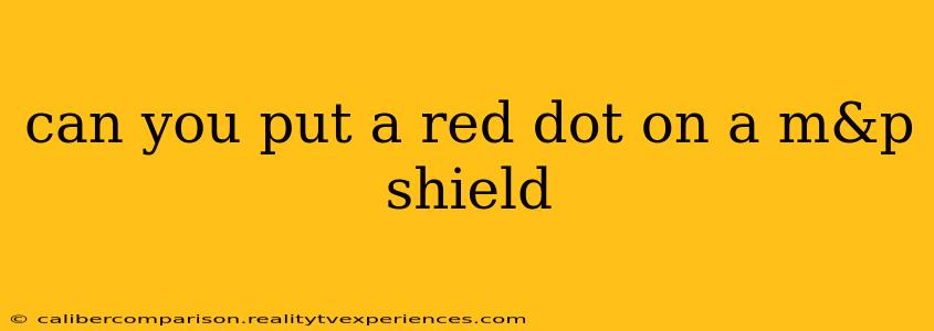 can you put a red dot on a m&p shield