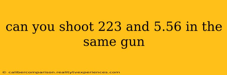 can you shoot 223 and 5.56 in the same gun