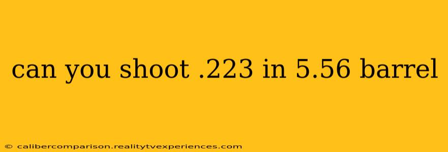 can you shoot .223 in 5.56 barrel