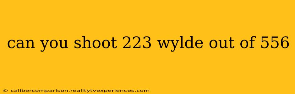 can you shoot 223 wylde out of 556