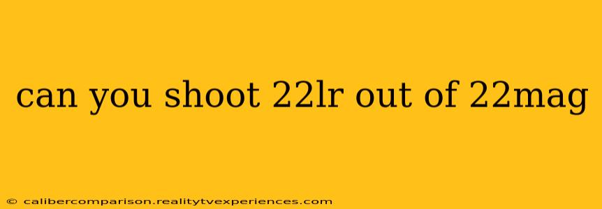 can you shoot 22lr out of 22mag