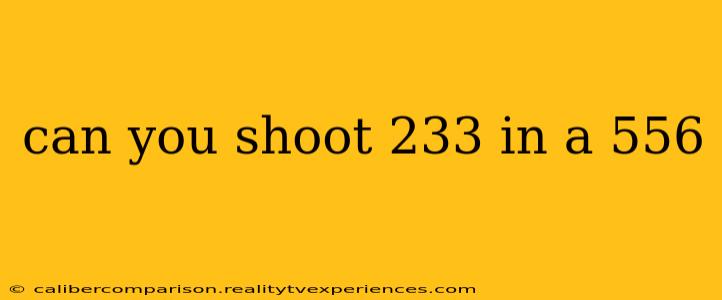 can you shoot 233 in a 556