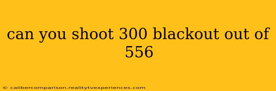 can you shoot 300 blackout out of 556