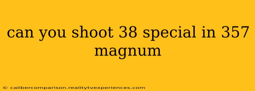 can you shoot 38 special in 357 magnum