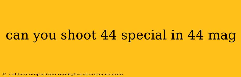 can you shoot 44 special in 44 mag