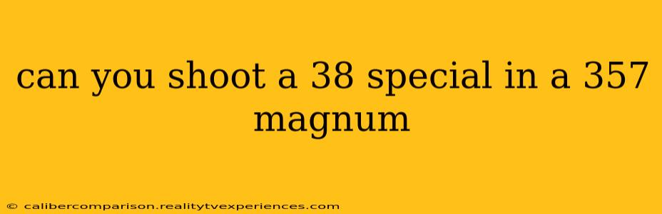 can you shoot a 38 special in a 357 magnum