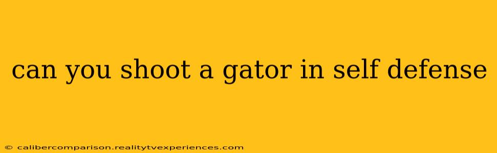 can you shoot a gator in self defense