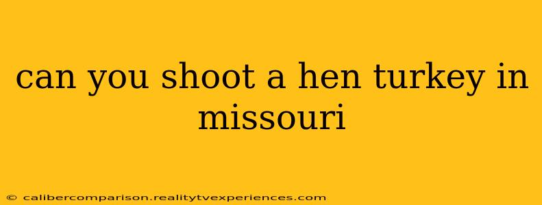 can you shoot a hen turkey in missouri