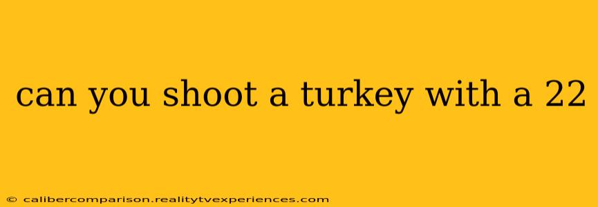 can you shoot a turkey with a 22