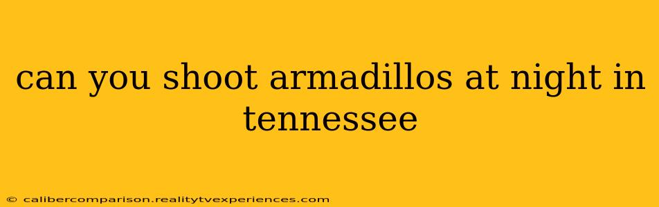 can you shoot armadillos at night in tennessee