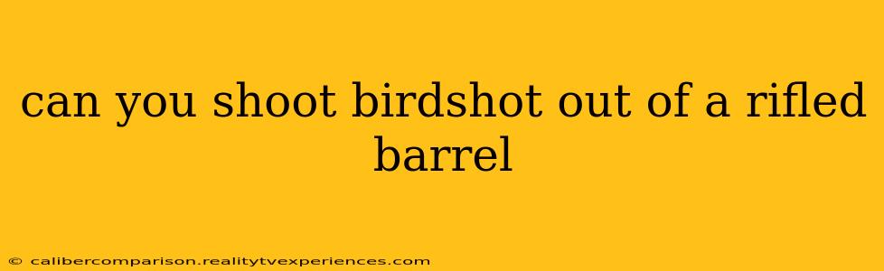 can you shoot birdshot out of a rifled barrel