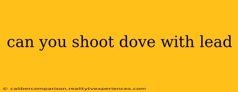 can you shoot dove with lead